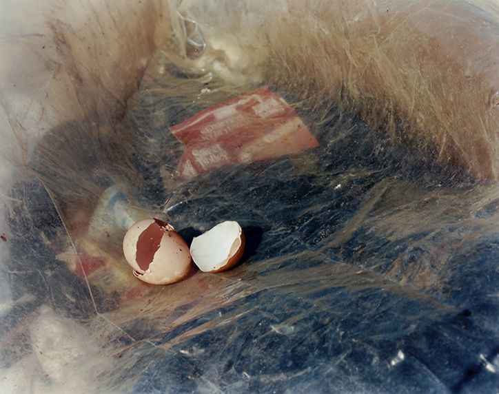 Pictures from a Rubbish Tip, 1988-89