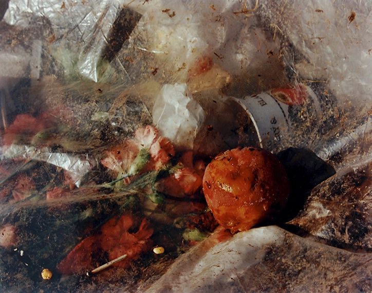Pictures from a Rubbish Tip, 1988-89