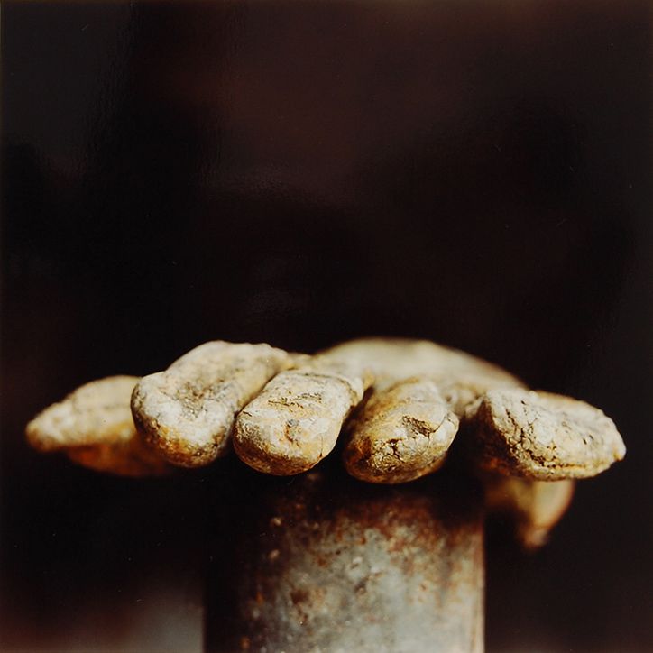 Industrial Gloves (Fingers and Thumbs), 1990-91